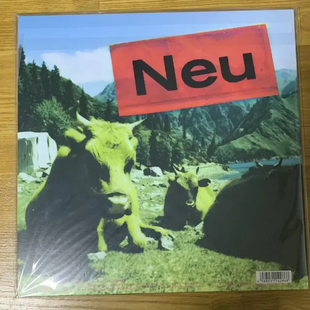 피쉬만즈 / Kuuchuu Camp 미개봉 LP fishmans