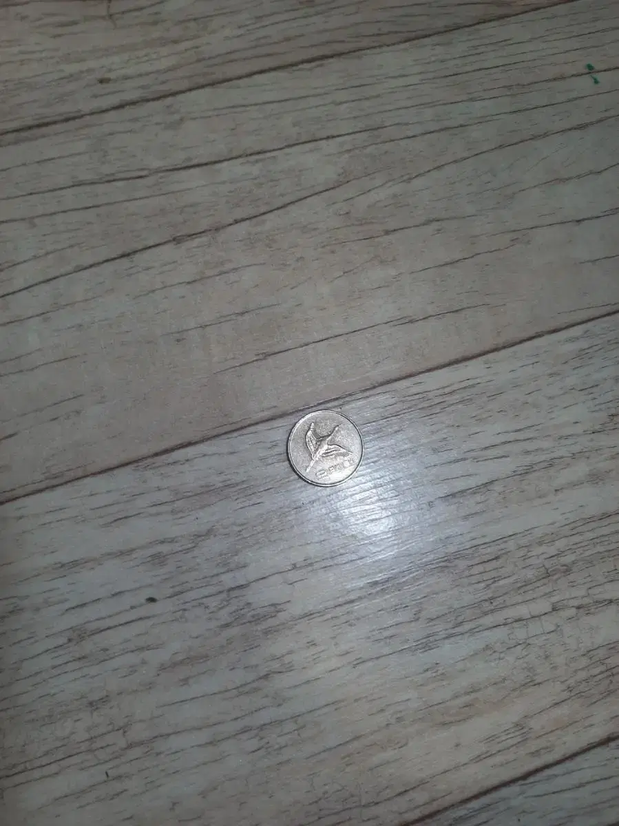 rare coin