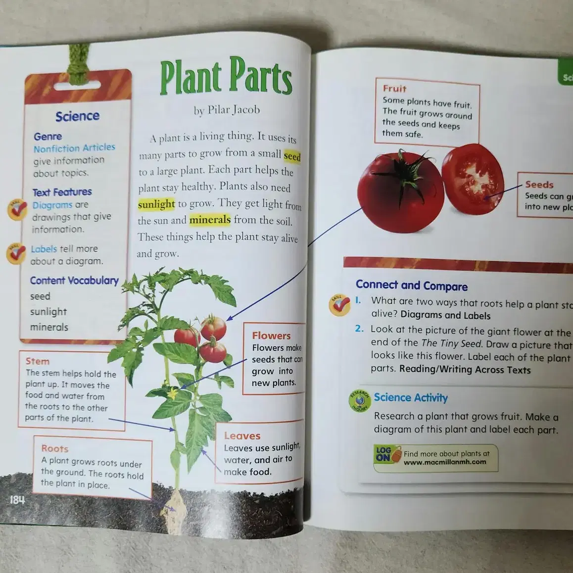 McGraw Hill 외 미국 교과서, 아동 영어 도서