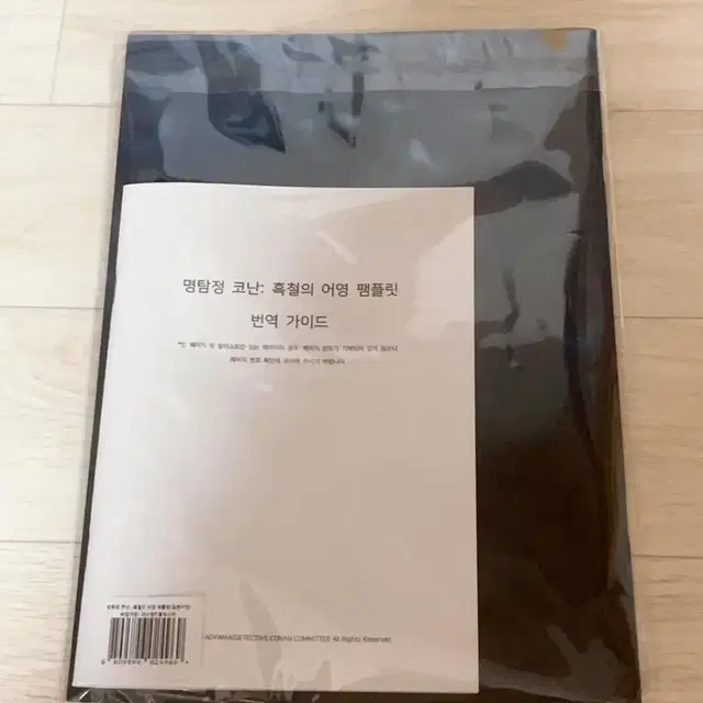 명탐정 코난 흑철의 어영 일본어판 팜플렛