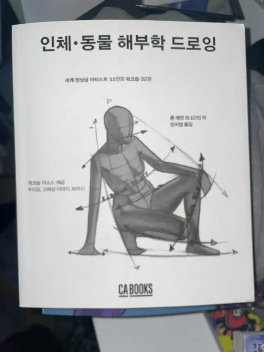 인체 동물 해부학 드로잉