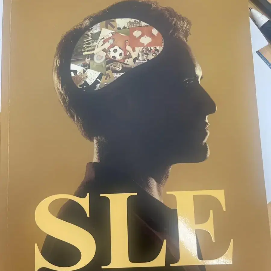 파고다 sle 새책