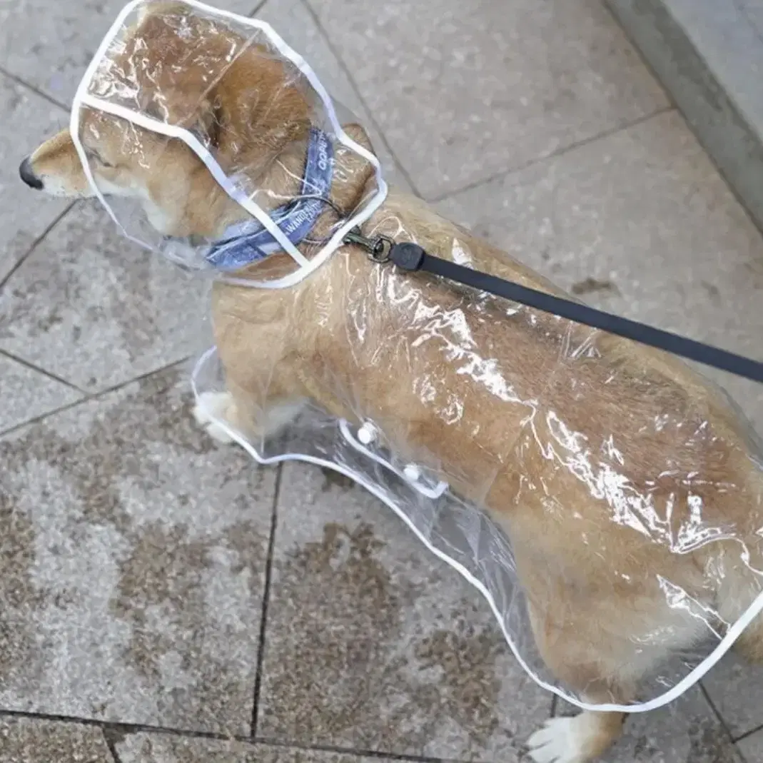 무료배송) 2컬러 새상품 강아지 고양이 애완동물 우비 비옷