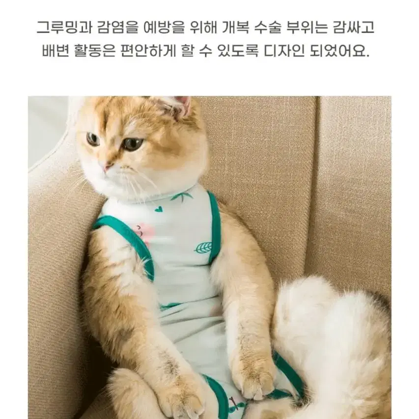 애묘 애견 중성화수술복