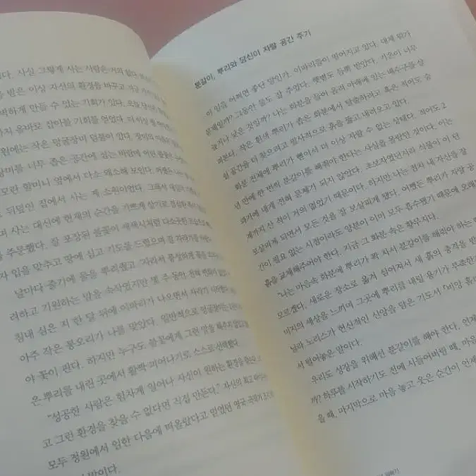 혼자 사는 즐거움ㅡ누구와도 함께할 수 없는 나만의 행복 찾기