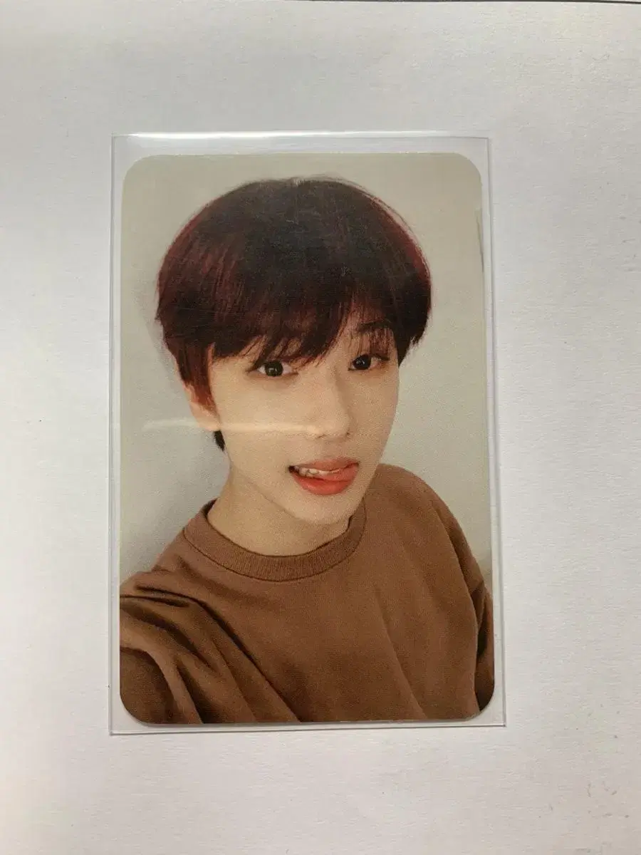 Nct dream jisung seasons greetings photopack