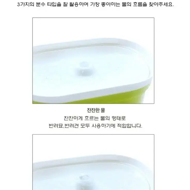 애견  필터 자동급수기