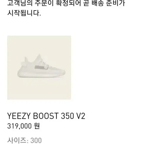 이지부스트 350 v2 300사이즈