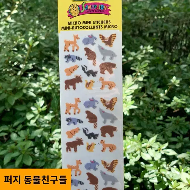 샌디라이온 퍼지 닙 판매