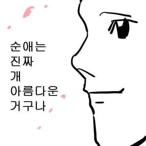 그냥 여러 소장본 양도 구합니다 (이런 시 제발)