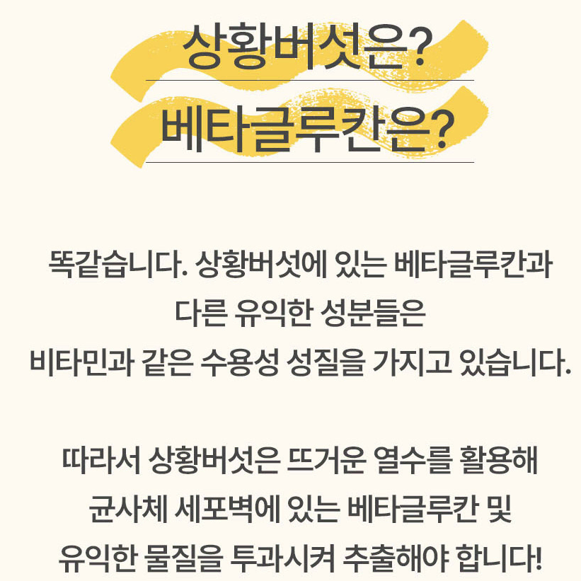 상황버섯 열수추출물 베타글루칸 균사체 세포벽 진액 1개월분