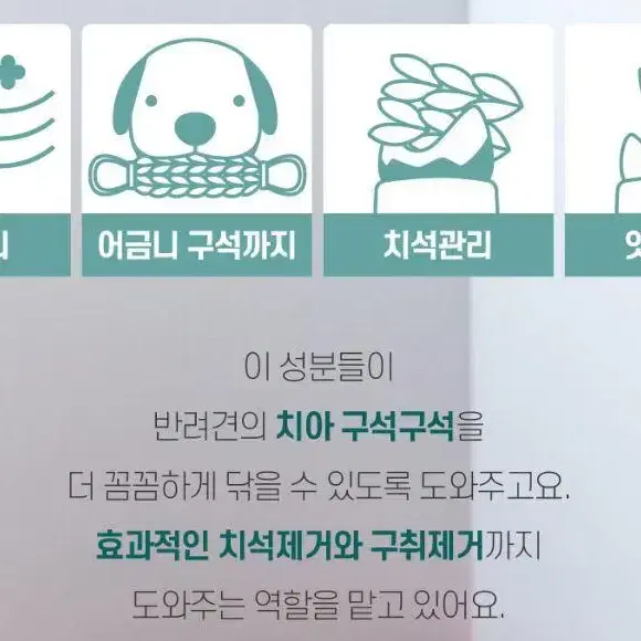 올바른쓰임 터그치실 2팩