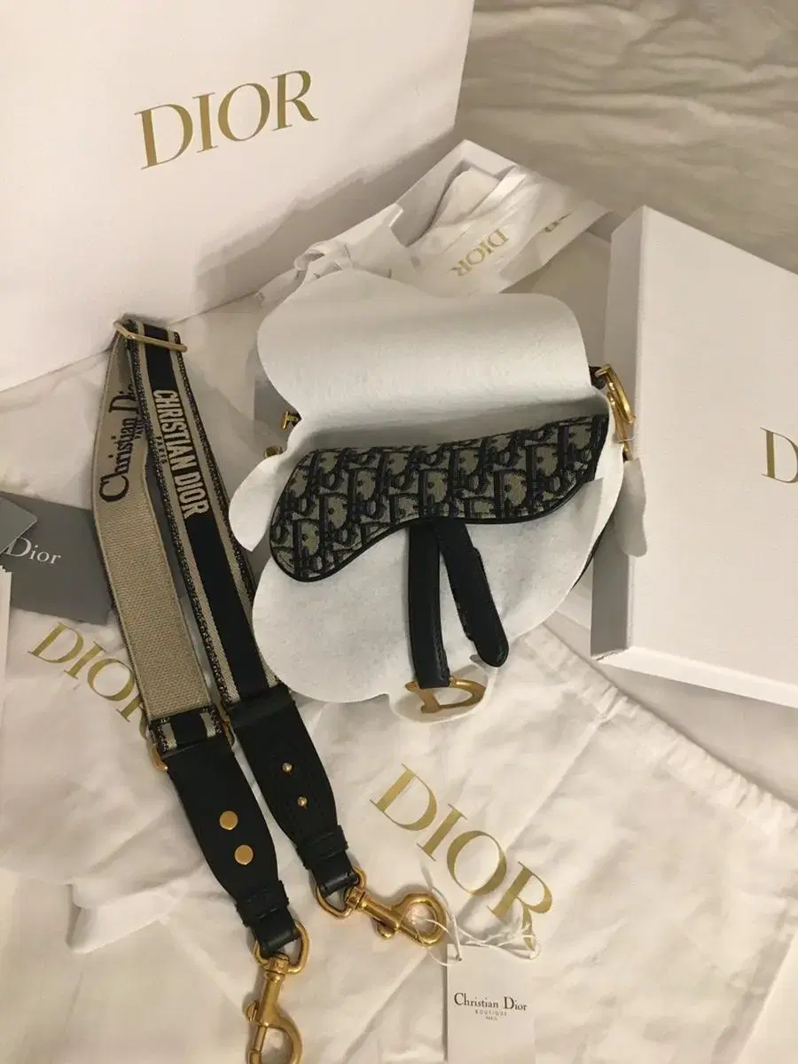 Dior Saddle Bag Mini & Ring Shoulder Strap