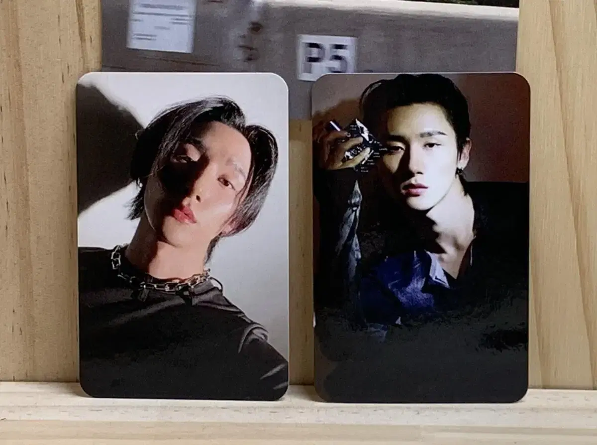 Versace Fungus photocard set wts