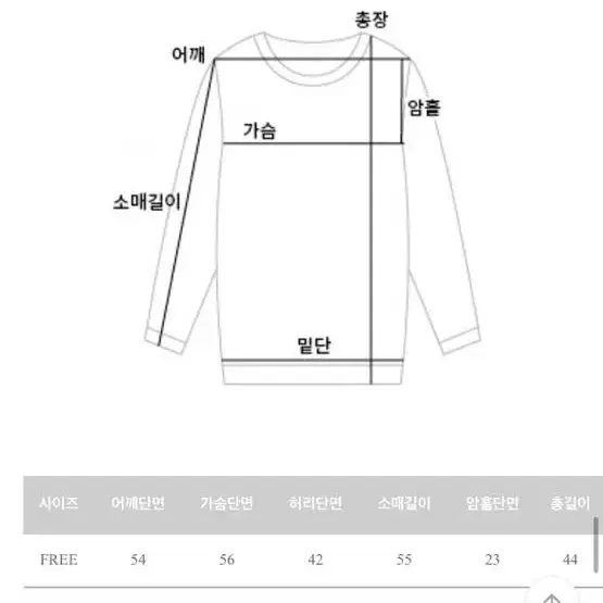 크롭 레터링 맨투맨