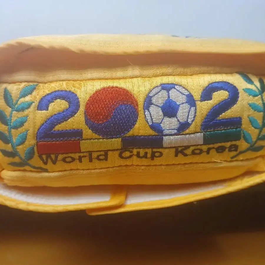 2002년 한일월드컵 축구  베게