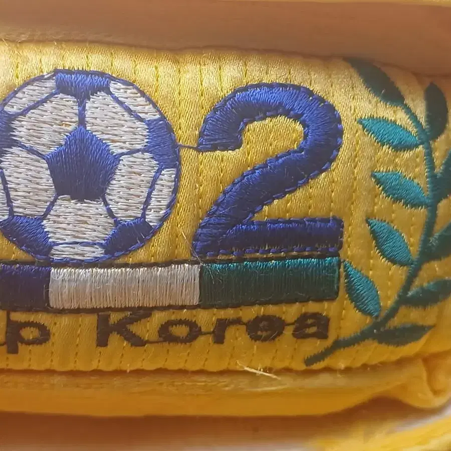 2002년 한일월드컵 축구  베게