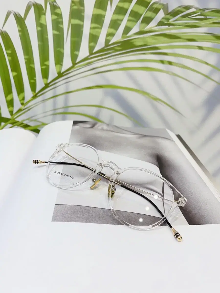 Transparent Titanum Eyeglass Frame