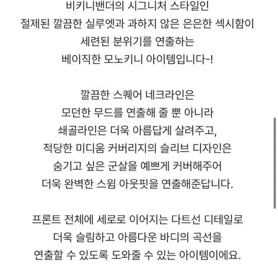 비키니밴더 모노키니