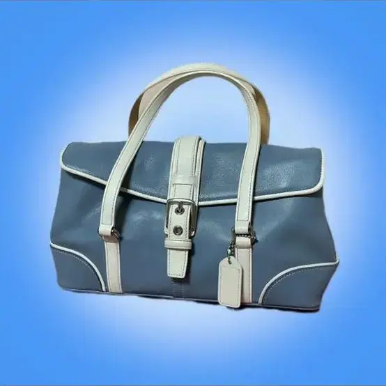 Vintage COACH Pale-blue Bag 코치 빈티지백