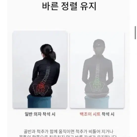 자세교정의자방석 백조이트렉션