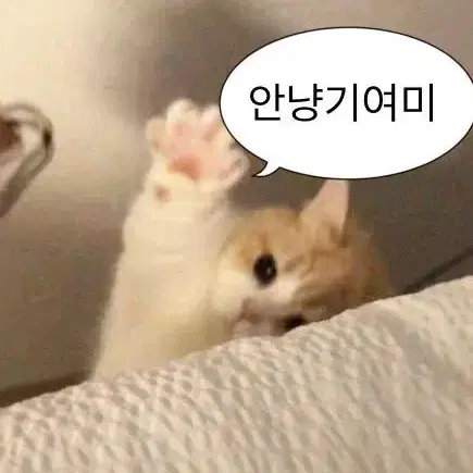 CU 화이트데이 농담곰 콜라보 스티커 판매 양도