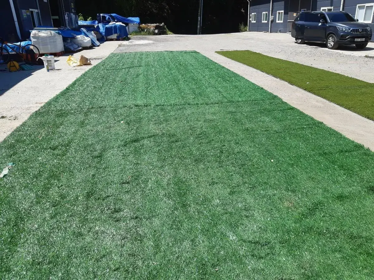 55More Eco-Friendly Artificial Turf