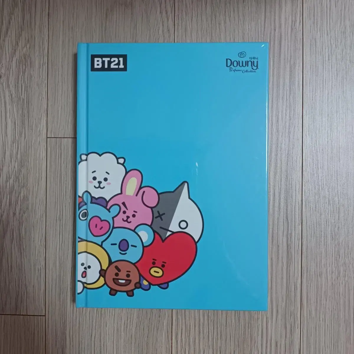 방탄소년단 BT21 다우니 노트