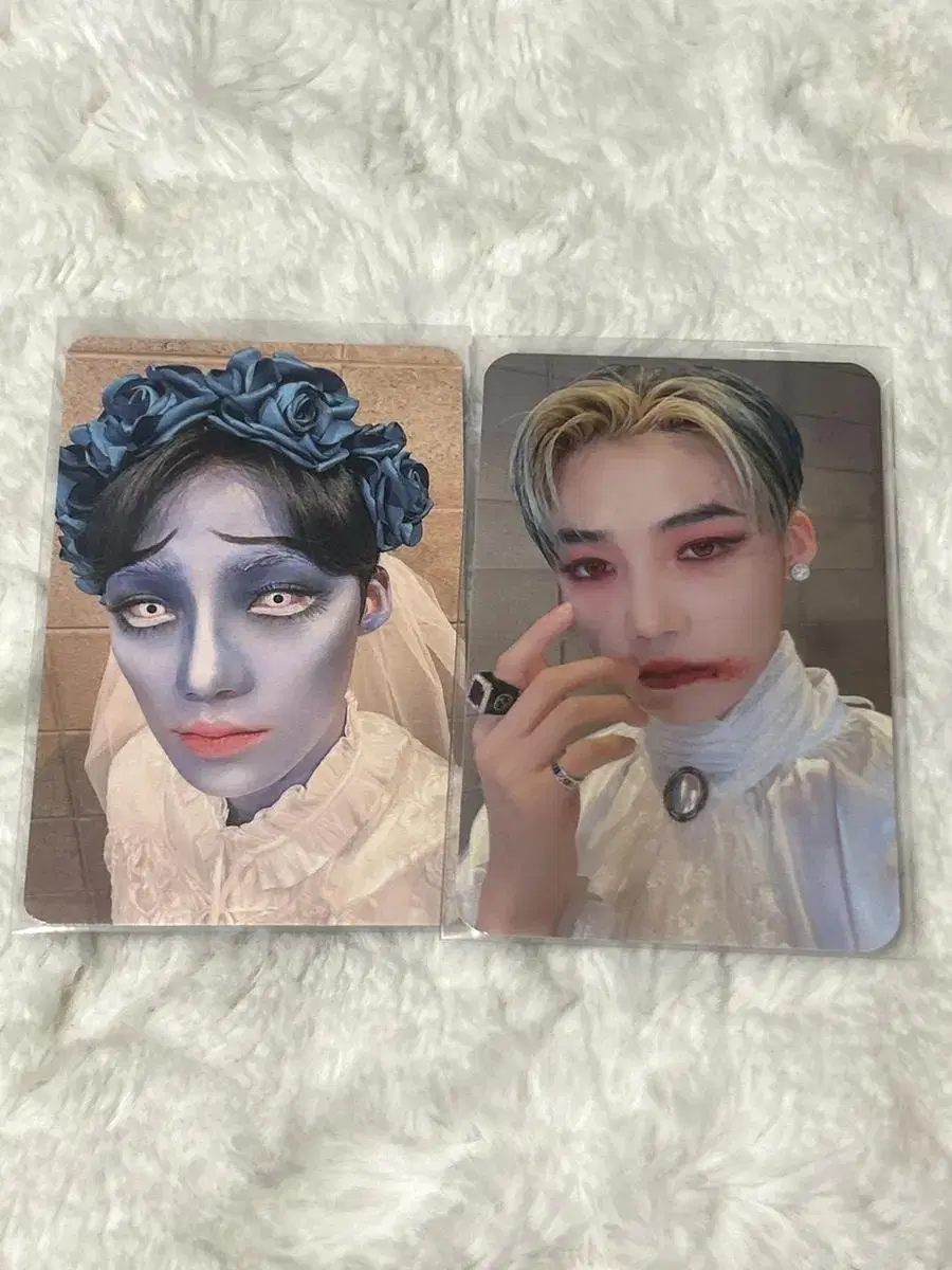 The Boyz new Halloween photocard unreleased photocard ghost bride new vampire new wts new photocard