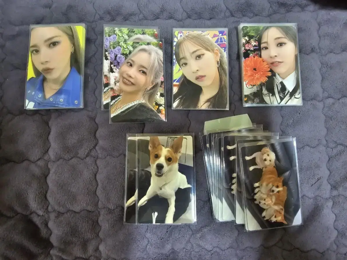 Mamamoo Plus photocard WTS