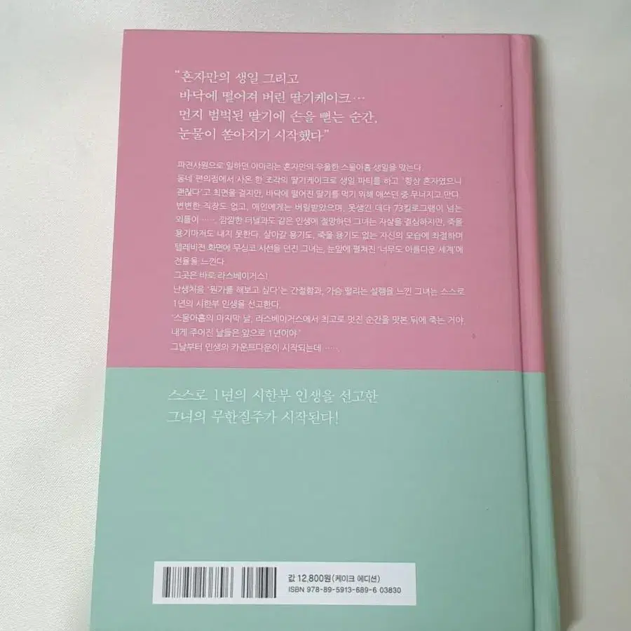 스물아홉 생일 1년 후 죽기로 결심했다 (케이크 에디션) 하야마 아마리