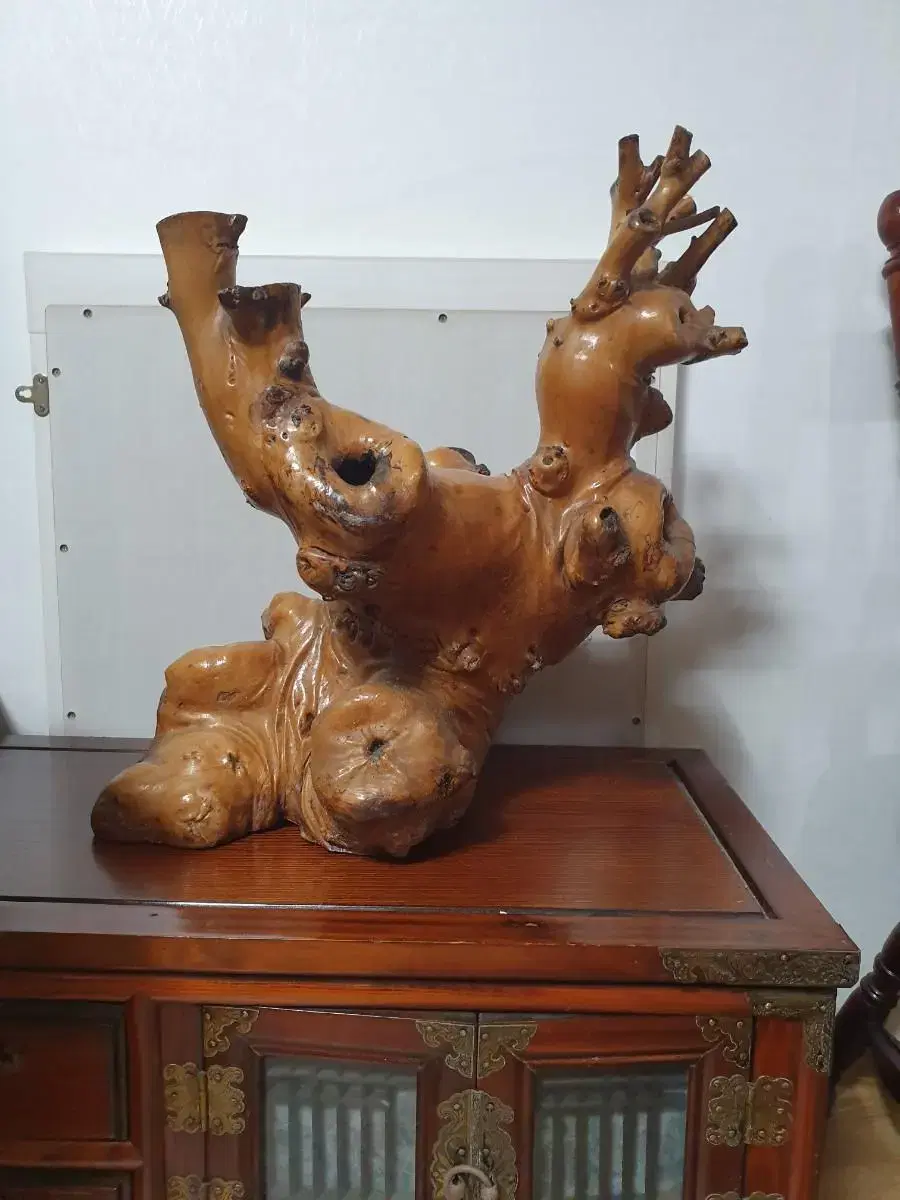 Tuber Interior Ornaments Tree Roots