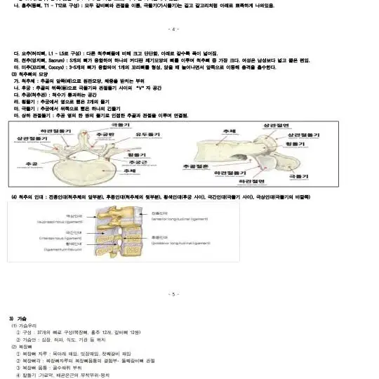 신체손해사정사 의학이론 서브노트