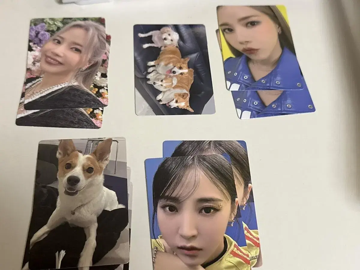 Mamamoo Plus Dangdang unsealed album, photocard for sale!