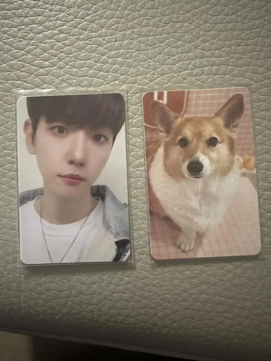 teolaegi pop up baekhyun mongryongi photocard wts