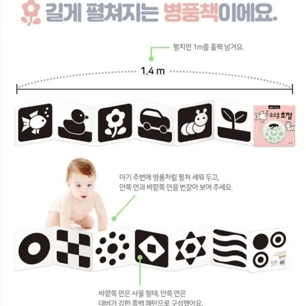 블루래빗 BABY FOCUS 오르골 초점책 머리쿵방지 일괄