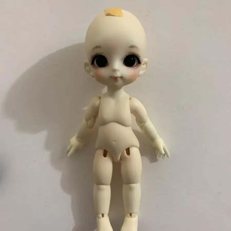 루츠 구체관절인형 포켓 16cm