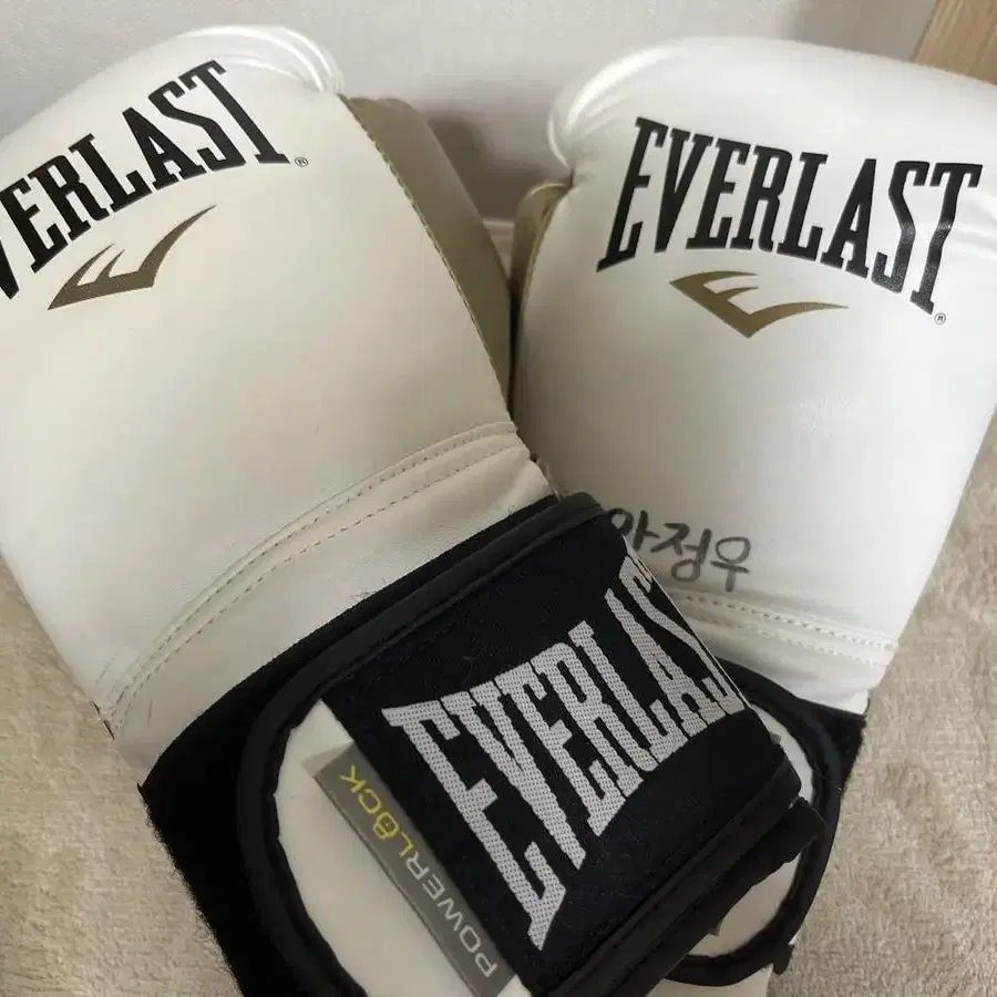 에버라스트(everlast) 12온스 복싱 글러브 처분합니다