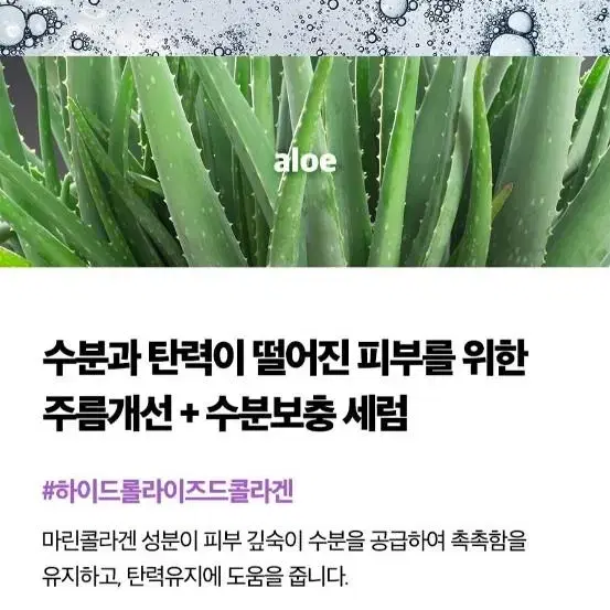 김정문알로에 큐어 알로에 콜라겐 시너지 세럼