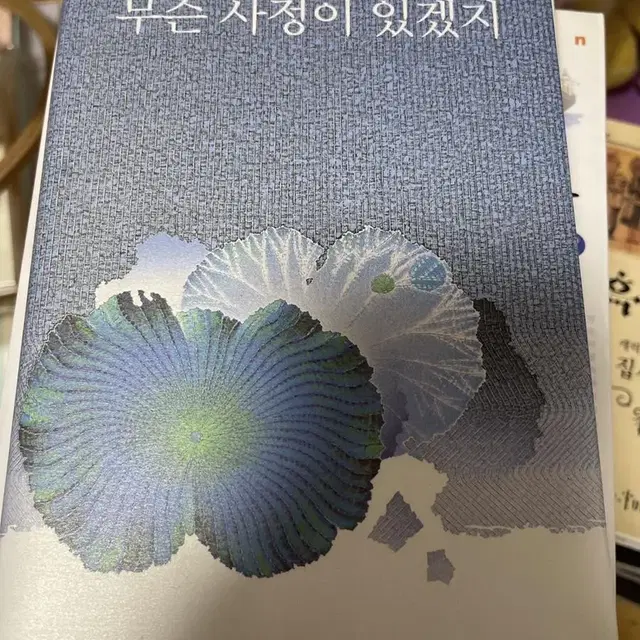 시집) 무슨 사정이 있겠지