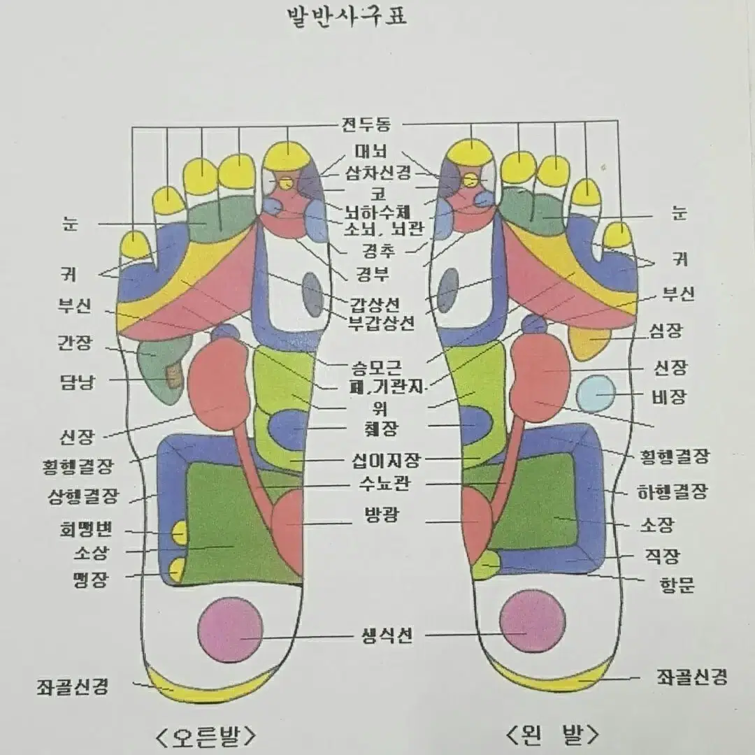 비고르고주파