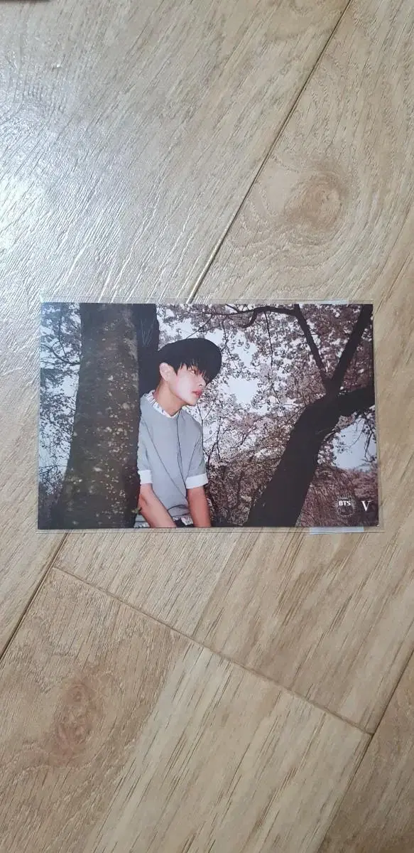 BTS Taiwan Hwayangyeonhwa Taehyung Postcard