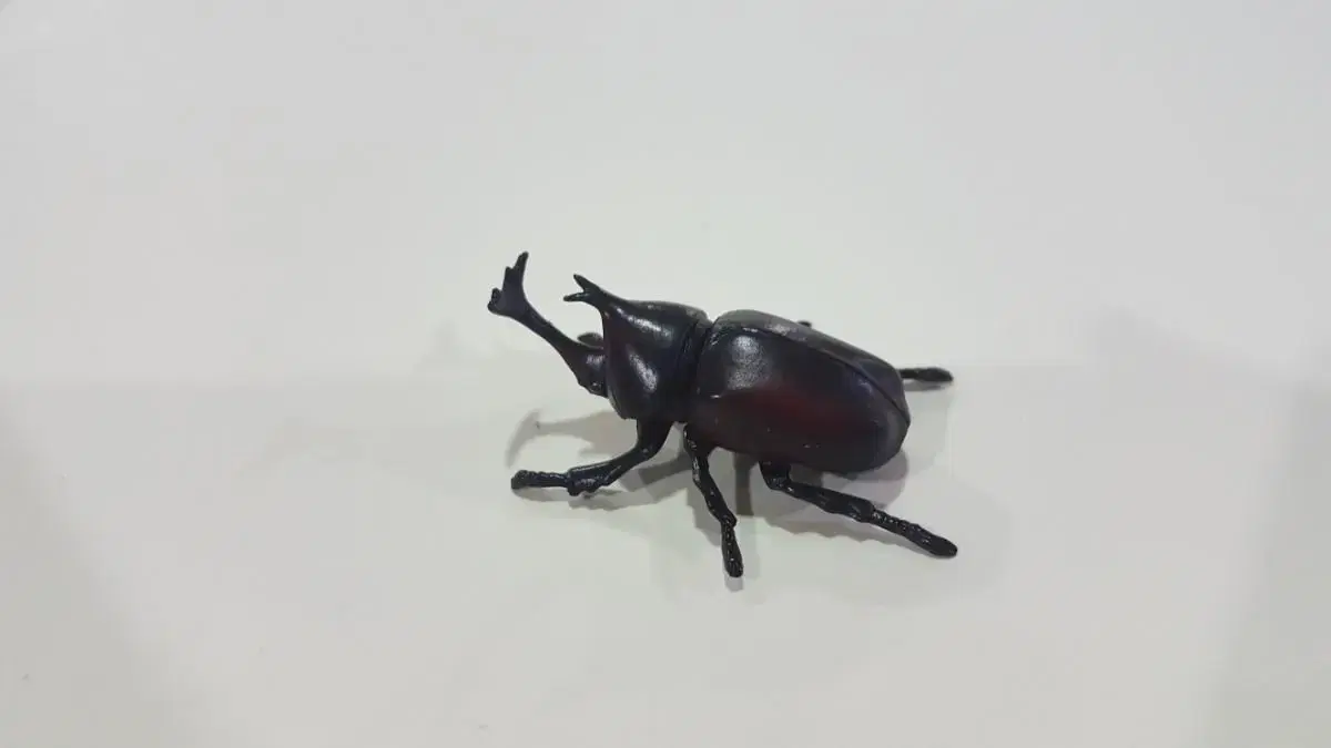 Choco Egg Insect Longevity Scarab Figure Gacha