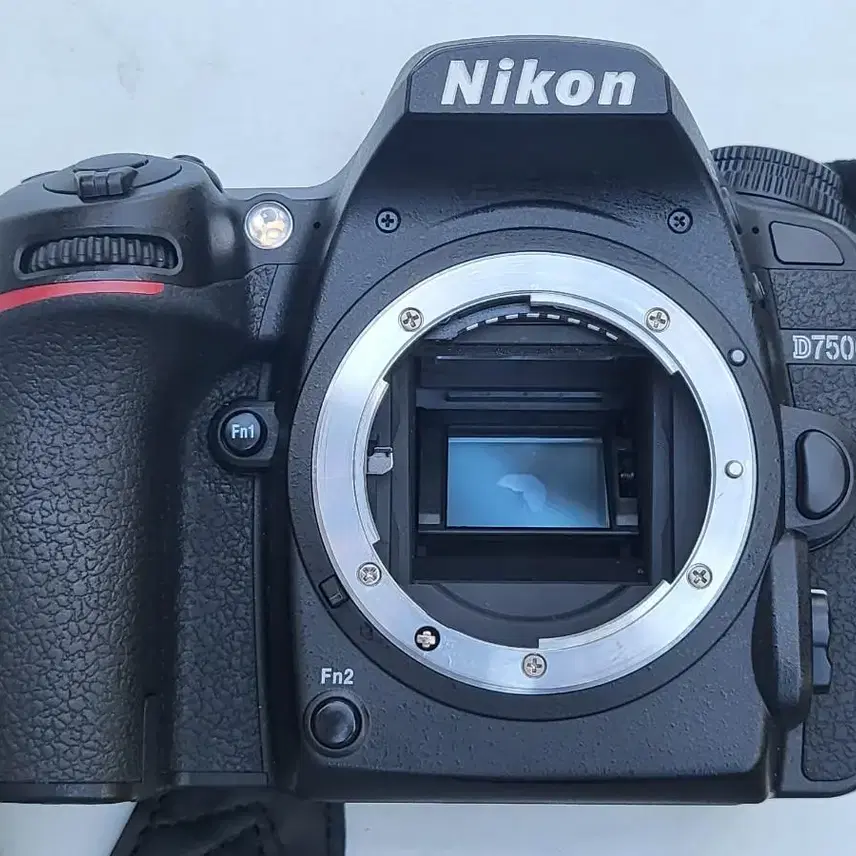 니콘 d7500
