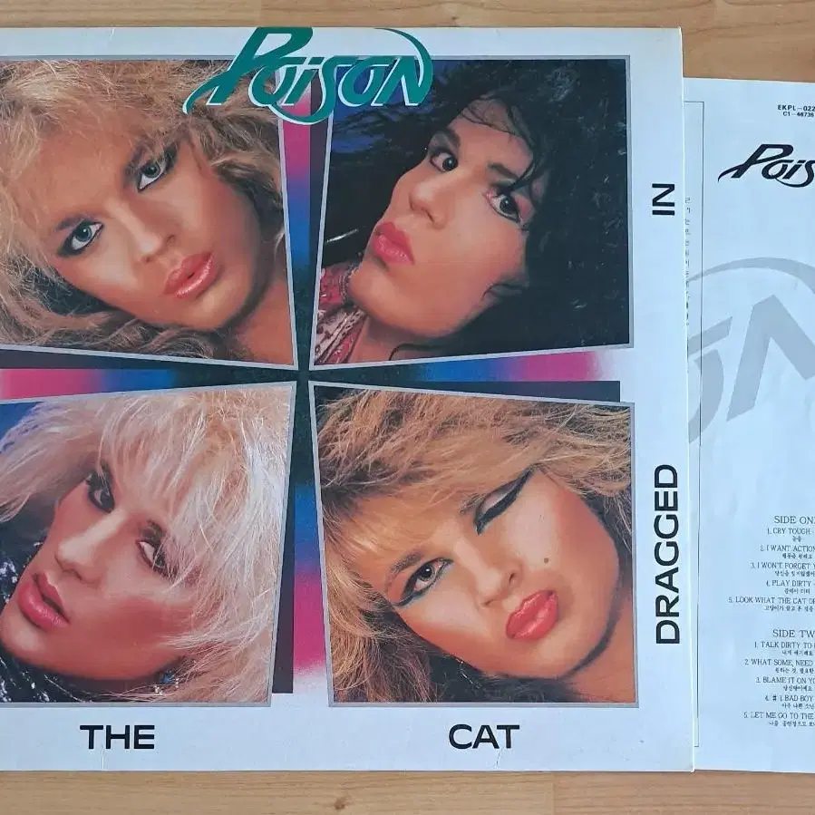 Poison Look what the cat  LP  팝니다