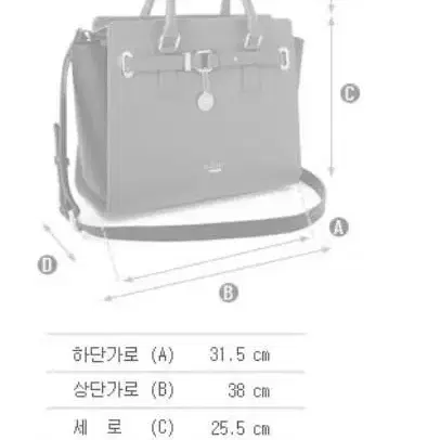 세인트스코트 뉴카렌 토트백