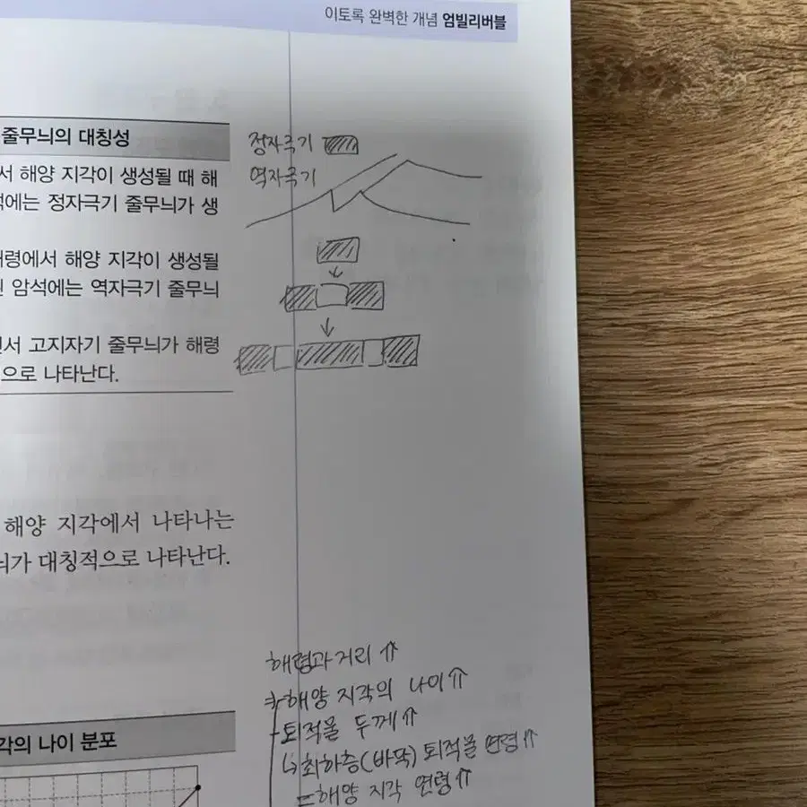 엄영대 엄빌리버블