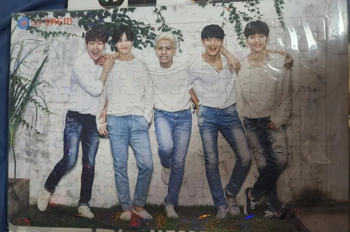 Shinee the Sam Puzzle