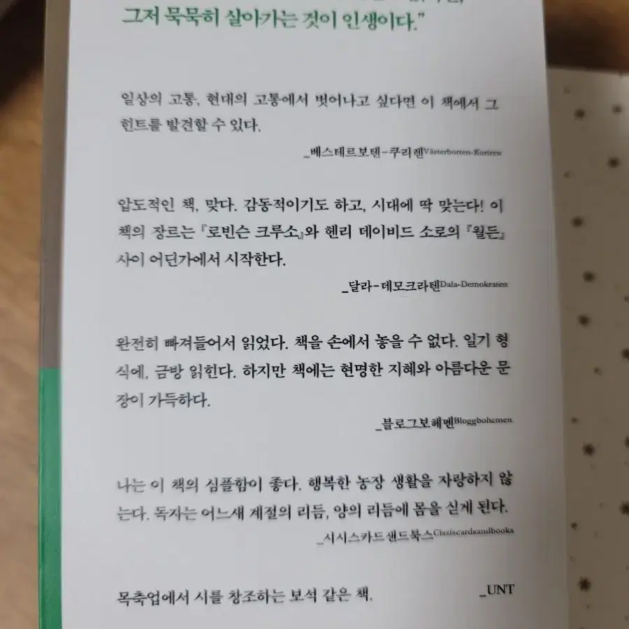 <사랑한다고 했다가 죽이겠다고 했다가>도서