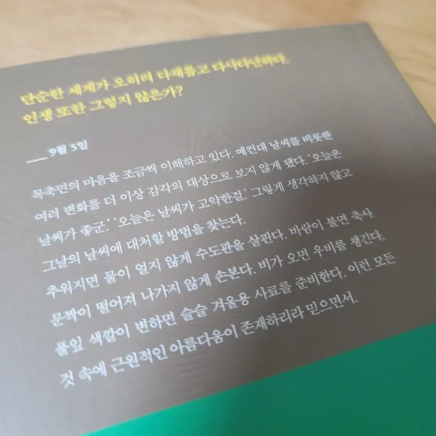 <사랑한다고 했다가 죽이겠다고 했다가>도서